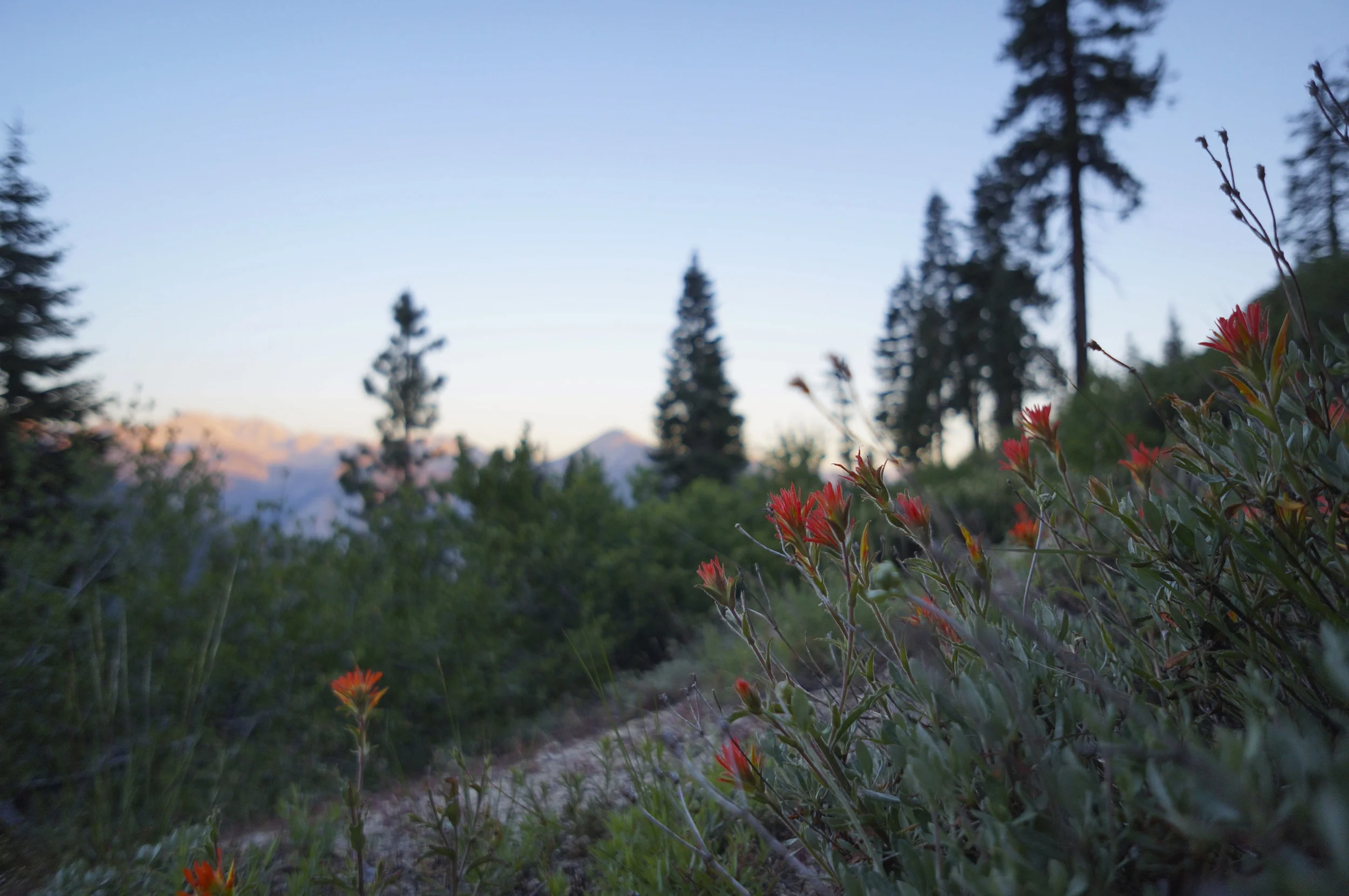Sierra High Route 2013 1