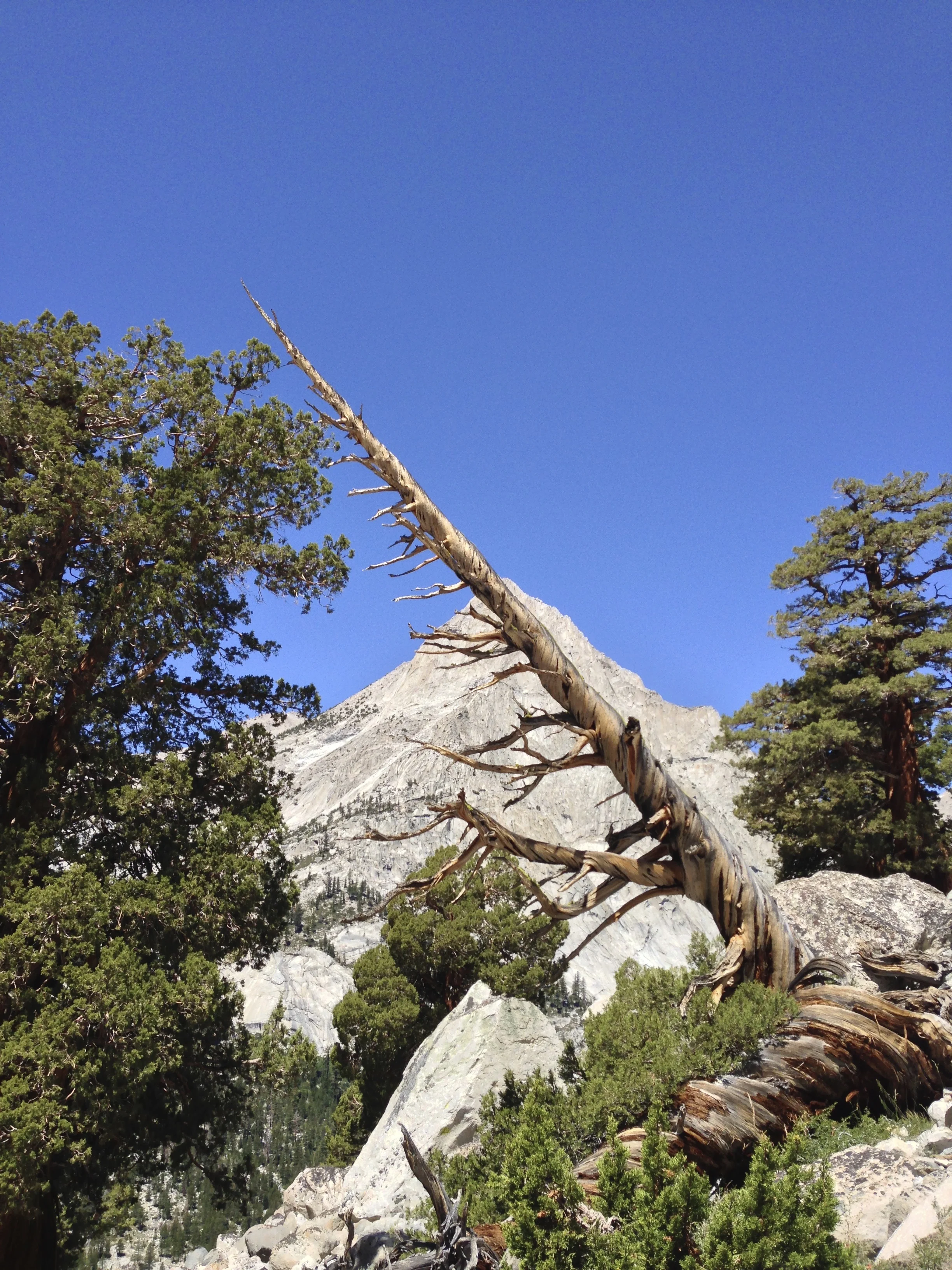 Sierra High Route 2013 54