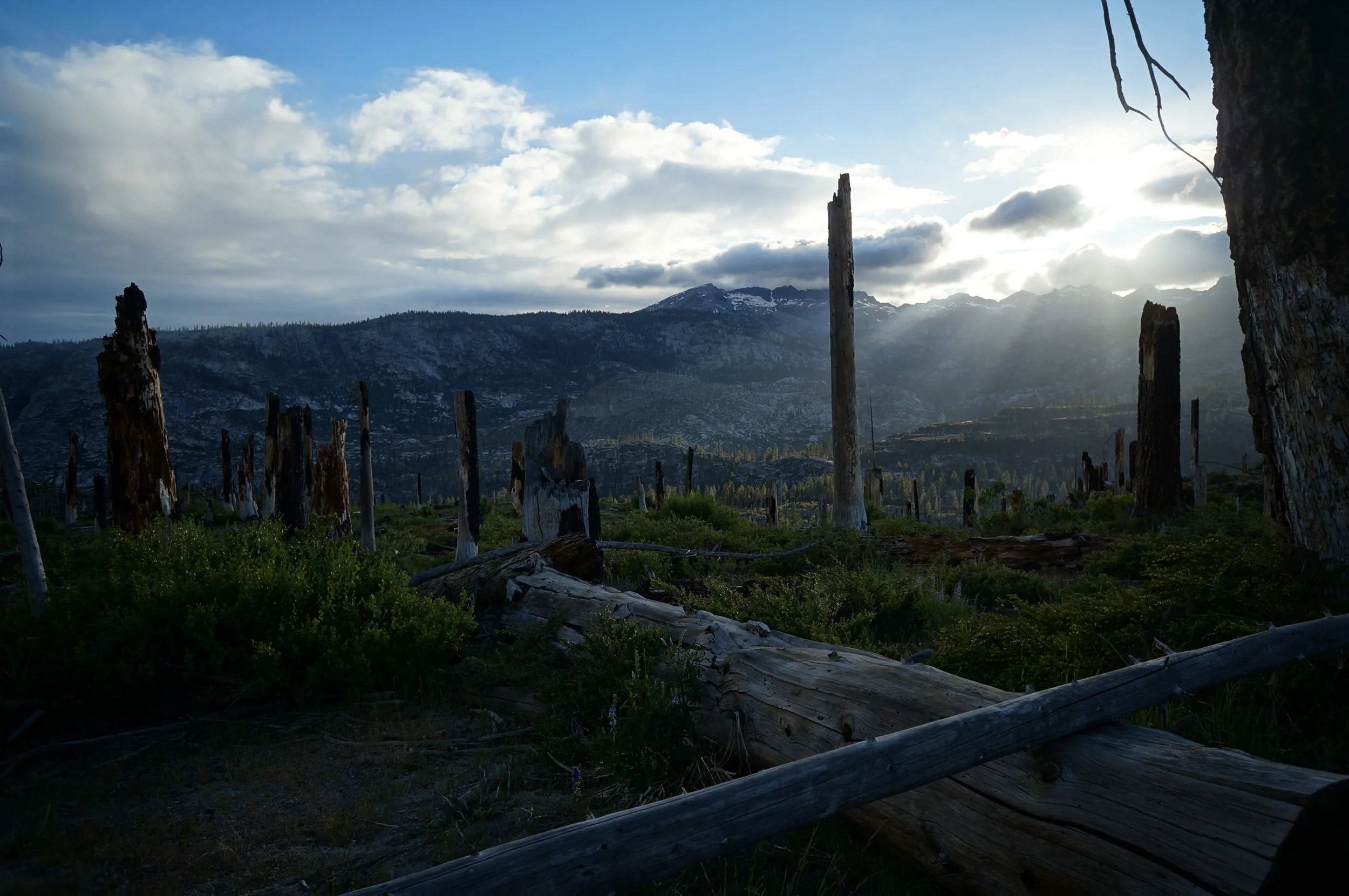 Sierra High Route 2013 73