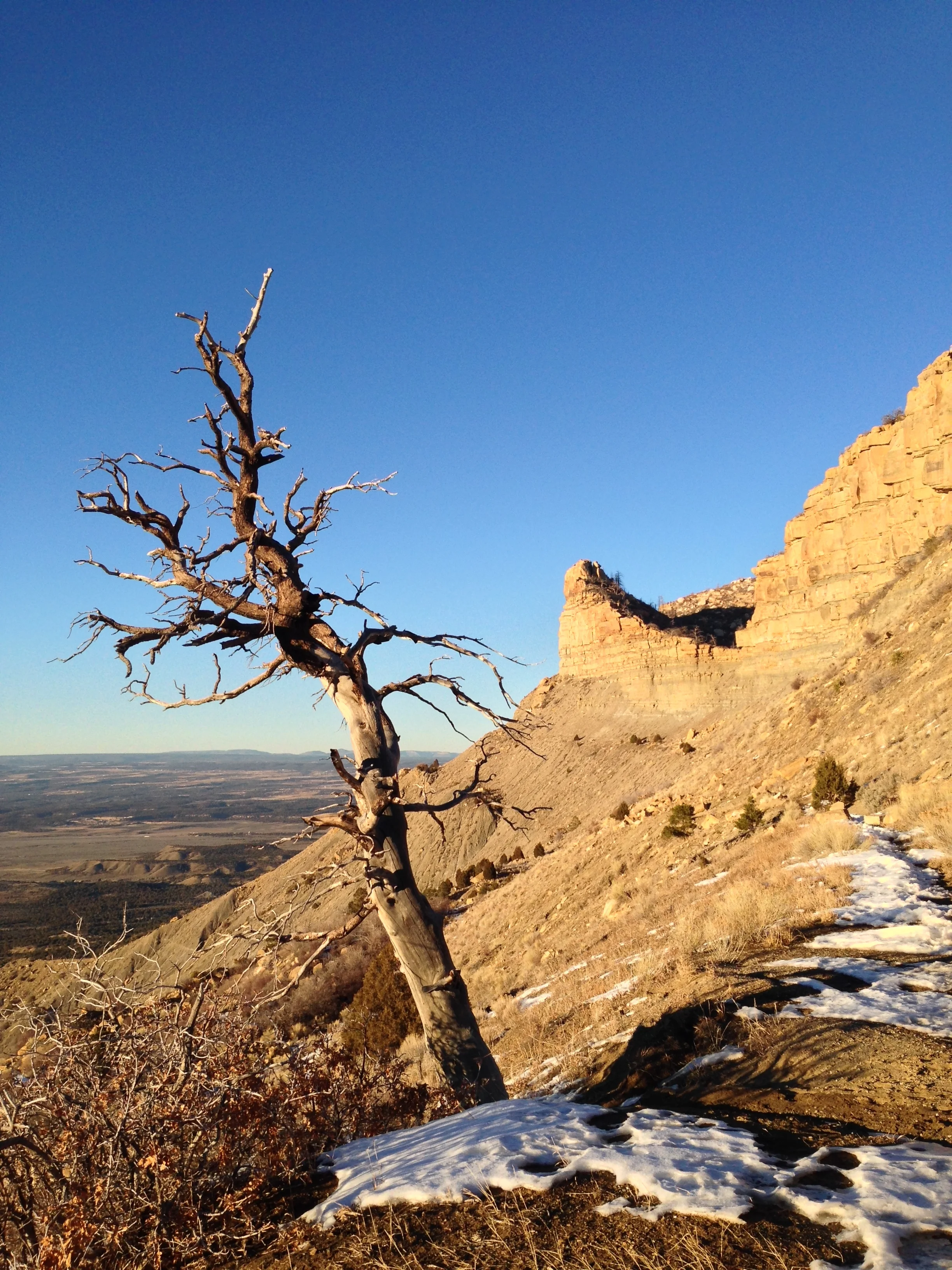 Southwest US Roadtrip 2014 17