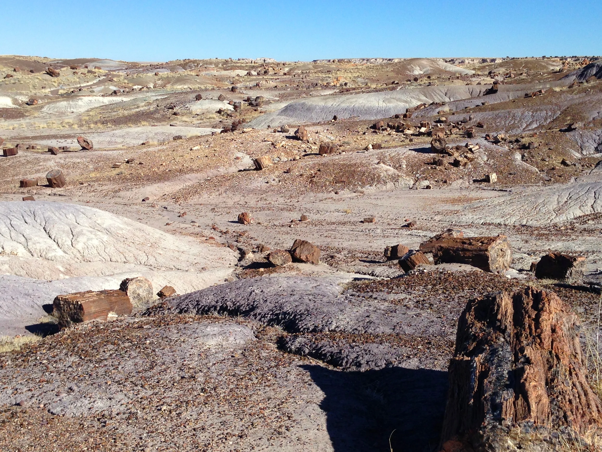 Southwest US Roadtrip 2014 47