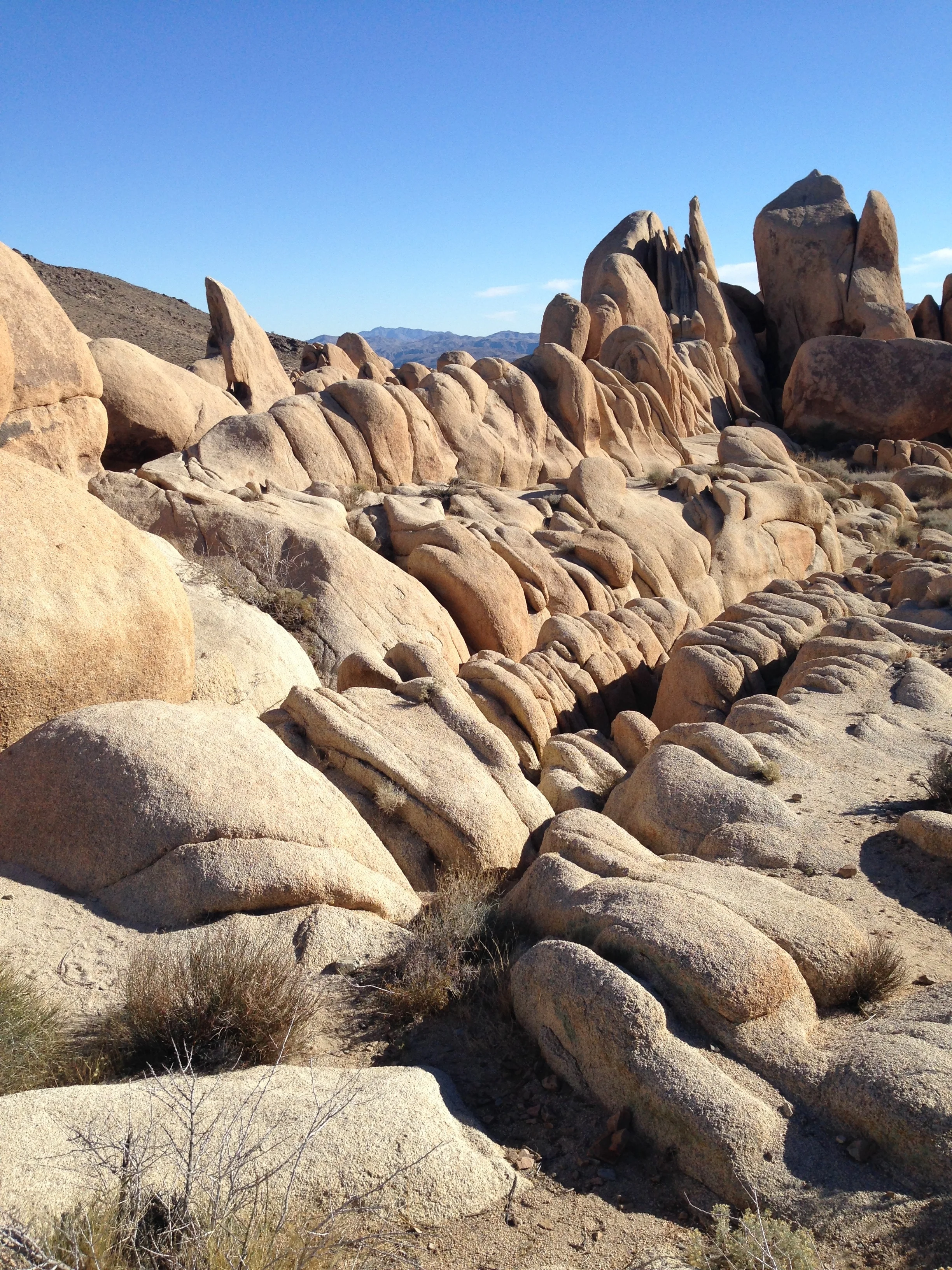 Southwest US Roadtrip 2014 61