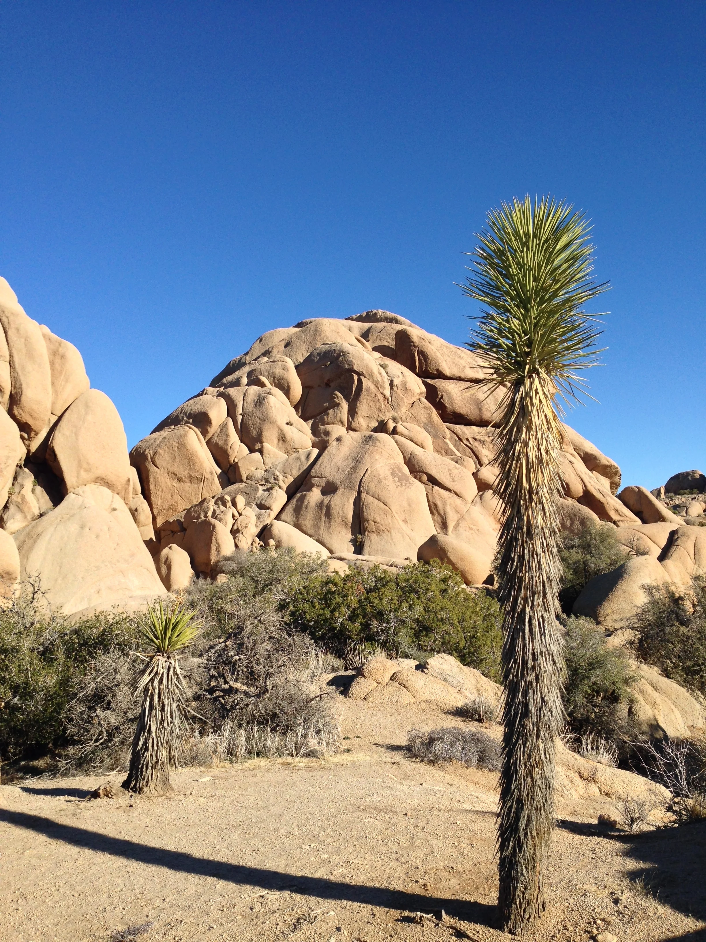 Southwest US Roadtrip 2014 68