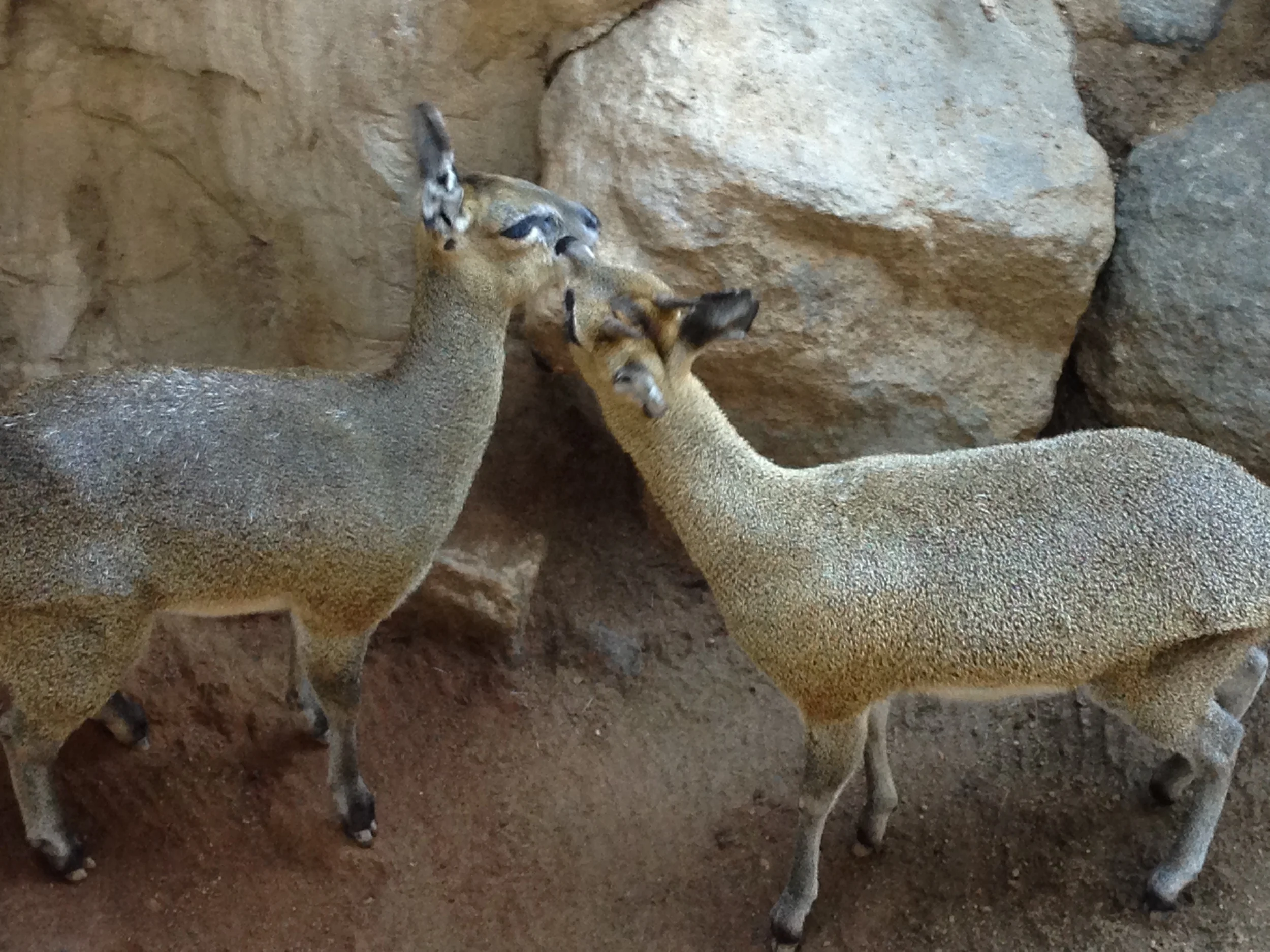 Southwest US Roadtrip 2014 69