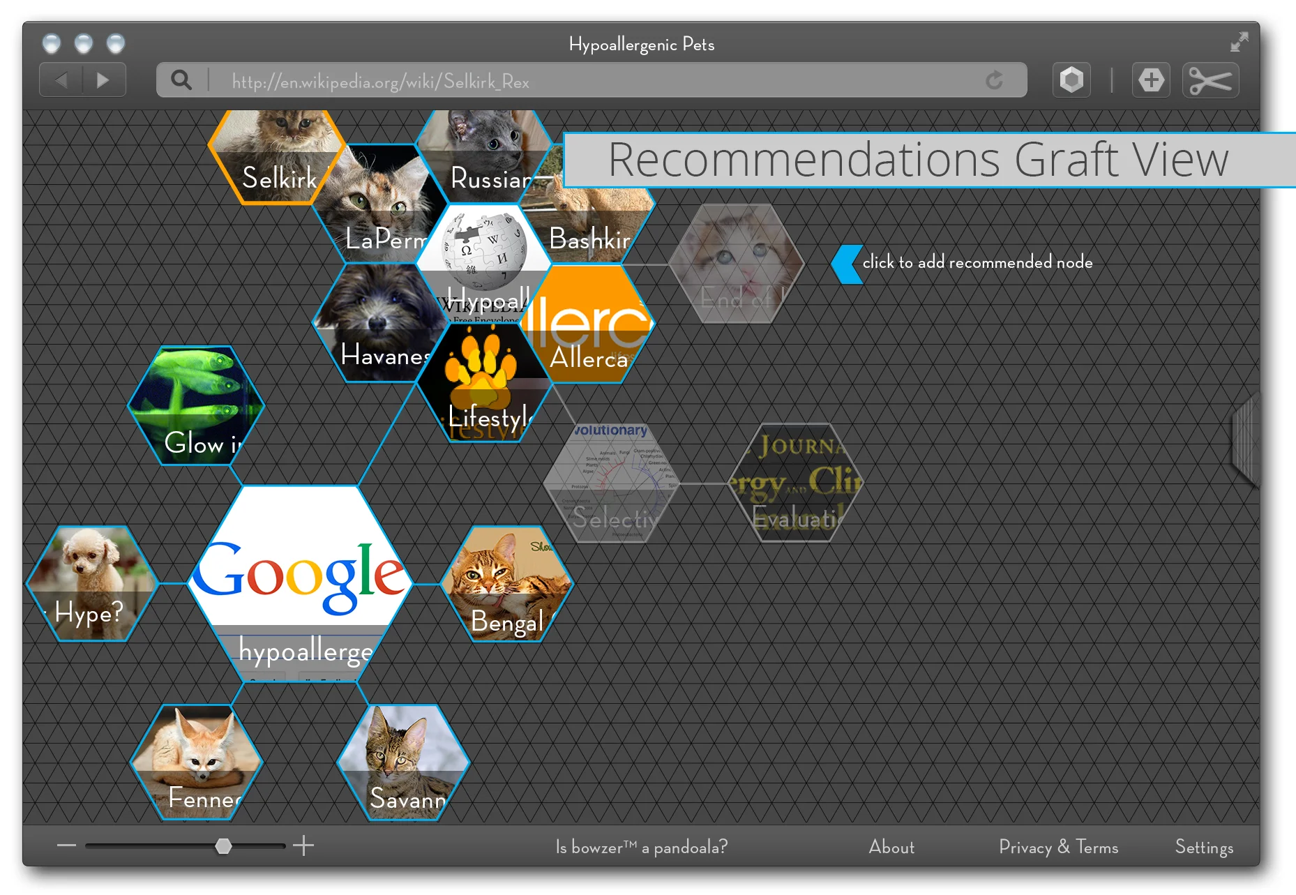 Recommendations Graft View
